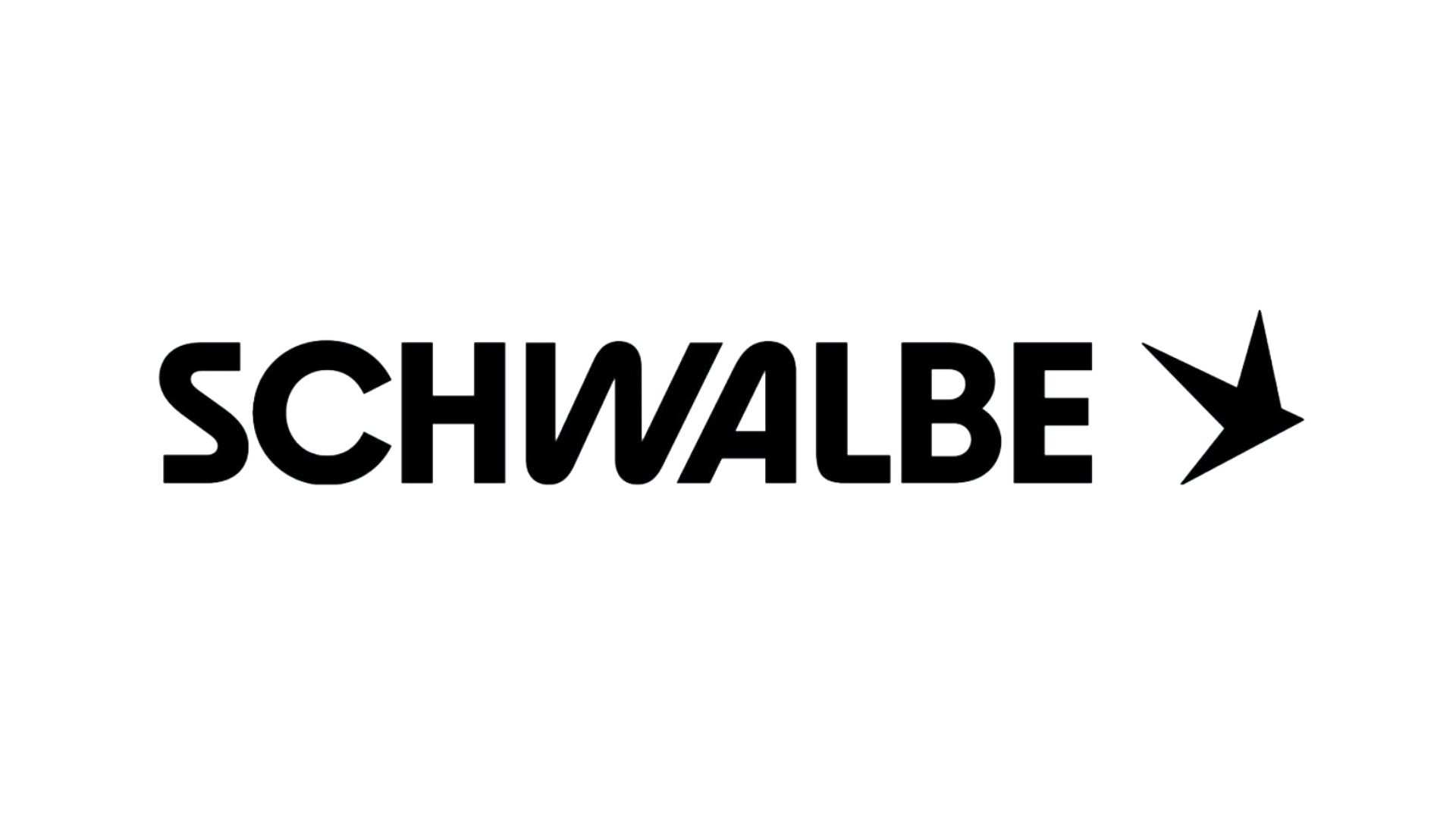 Захист від проколів покришок Schwalbe