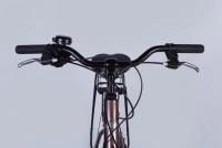 Велосипед 28" Dorozhnik COMFORT MALE DD FR (2025) коричневий 3