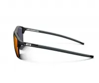 Очки Julbo CROSSLINE (REACTIV 1-3 LAF) black/shiny black 3