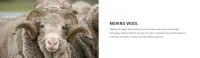 Балаклава Buff® Merino Wool Balaclava Cedar 3