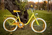Велосипед Dorozhnik STAR 20" 2016 желтый 0