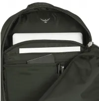 Рюкзак Osprey Arcane Large Day Lunar Grey/Haybale Green 7