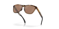 Окуляри Oakley FROGSKINS RANGE (PRIZM Tungsten Polar) brown tort/brown smoke 0