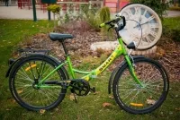 Велосипед Dorozhnik SMART 20" 2016 зеленый 0