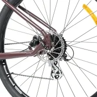Велосипед 29" SPIRIT ECHO 9.2 burgundy brown 5