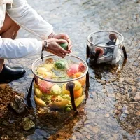 Контейнер складаний Naturehike NH20SJ040, 20L, transparent 3