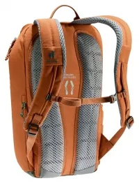 Рюкзак Deuter Stepout 16 chestnut-ivy (9206) 1