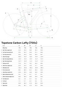 Велосипед 28" Cannondale TOPSTONE Carbon 2 Lefty (2024) gold dust 2