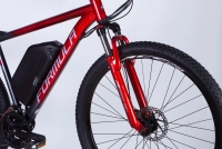Велосипед 29" Formula eF-1 DD CS 48B 17.5А*г 500Вт (2025) червоно-сріблястий 2