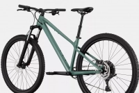 Велосипед 29" Cannondale Habit HT 3 (2024) jade 1
