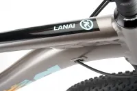 Велосипед 29" Kona Lana'I (2023) grey 2