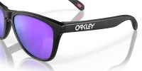 Окуляри Oakley FROGSKINS (PRIZM Violet) matte black 5