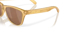 Окуляри Oakley FROGSKINS XS (PRIZM Tungsten) km light curry 3