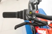 Велосипед 20" Trinx Junior 1.0 (2021) красный 6