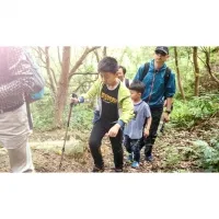 Треккинговая палка 3-секционная Naturehike NH17D001-Z, 57-120 см, gold 6