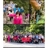 Треккинговая палка 3-секционная Naturehike NH17D001-Z, 57-120 см, green 9