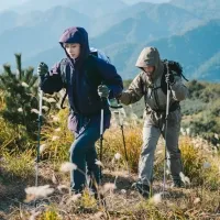 Треккинговая палка 3-секционная Naturehike ST06 NH17D006-D, 66-135 см, green 3