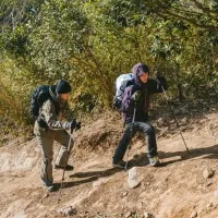 Треккинговая палка 3-секционная Naturehike ST06 NH17D006-D, 66-135 см, green 9