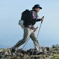 Треккинговая палка 4-секционная Naturehike CNK2450DS016, 110 см, grey 0