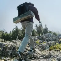 Треккинговая палка 4-секционная Naturehike CNK2450DS016, 120 см, purple 4