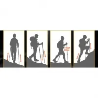 Треккинговая палка 3-секционная Naturehike NH17D017-D, 56-120 см, black 3