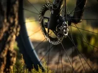 Гальмо Shimano XTR M9200 дискове гідравлічне заднє, 1700 мм, права ручка 8