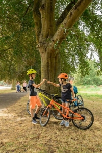 Велосипед 20" Giant ARX (2020) orange/ black 0
