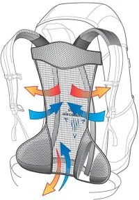 Рюкзак Deuter AC Lite 22 SL (3420216 3349) 8