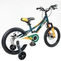 Велосипед 16" RoyalBaby Chipmunk EXPLORER 16 (OFFICIAL UA) зелёный 4