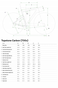 Велосипед 28" Cannondale TOPSTONE Carbon 4 (2023) smoke black 6