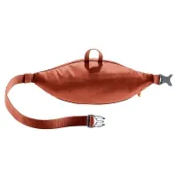 Поясна сумочка Deuter Junior Belt chestnut (9006) 0