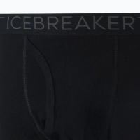 Термоштани ICEBREAKER 260 Tech Leggings black 7