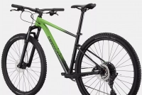 Велосипед 29" Cannondale Trail SL 3 (2024) green 0