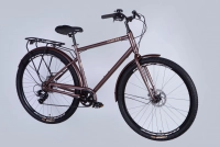 Велосипед 28" Dorozhnik COMFORT MALE DD FR (2025) коричневий 0