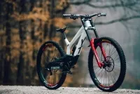 Вилка RockShox BoXXer Ultimate Charger2.1 R - 29", вісь Boost 20x110, 200mm, red, DebonAir 8