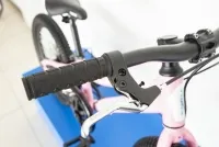 Велосипед 20“ Trinx Smart 1.0 (2021) рожевий 0