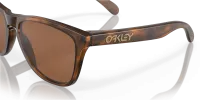 Окуляри Oakley FROGSKINS (PRIZM Tungsten) matte brown tortoise 5