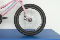 Велосипед 20“ Trinx Smart 1.0 (2021) рожевий 2