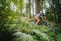 Велосипед 29" Merida BIG.TRAIL 300 (2026) black 0