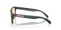 Окуляри Oakley FROGSKINS XS (PRIZM Gaming) matte carbon 4