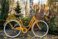 Велосипед Dorozhnik RETRO 28" 2016 оранжевый 1