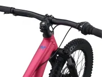 Велосипед 20" Liv STP FS virtual pink 1
