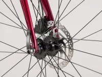 Велосипед 29˝ Trek FX 3 DISC (2021) червоний 0
