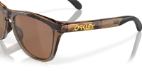 Окуляри Oakley FROGSKINS RANGE (PRIZM Tungsten Polar) brown tort/brown smoke 5