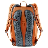 Рюкзак Deuter Gogo chestnut-umbra (6616) 2