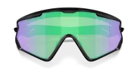 Очки Oakley WIND JACKET 2.0 (PRIZM Road Jade) matte black 5