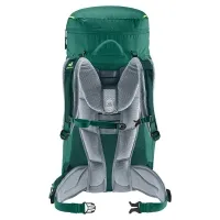 Рюкзак Deuter Fox 40 alpinegreen-forest (2231) 2