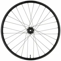 Колесо заднє 29" Race Face Turbine R 35 12x148 Boost XD 6-bolts 28H 0