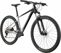 Велосипед 29" Cannondale Trail SL 4 (2022) grey 0