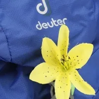 Рюкзак Deuter AC Lite 22л (3420216 3049) 3